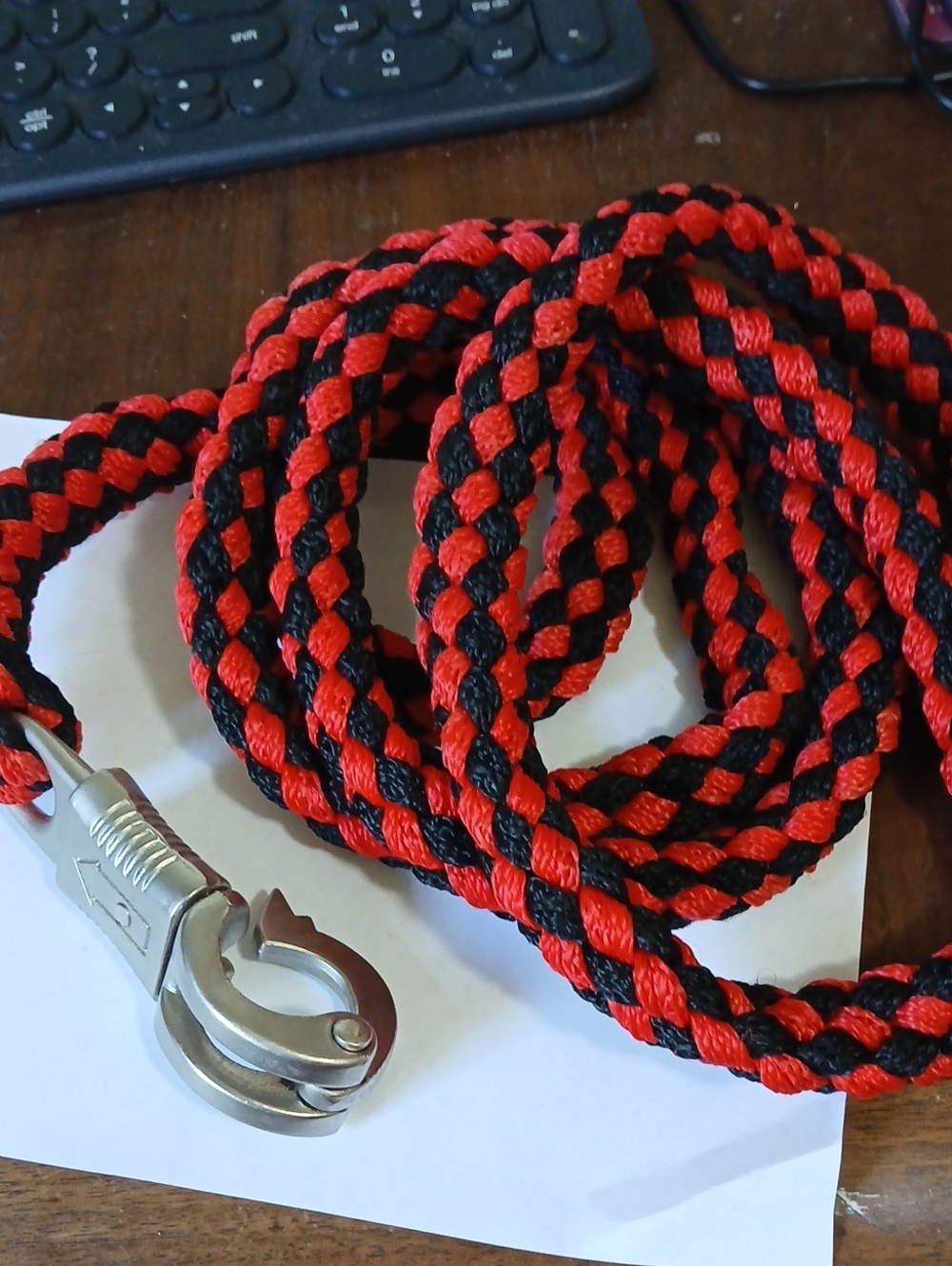 Braided Red & Black Horse Lead with Heavy-Duty Snap Hook